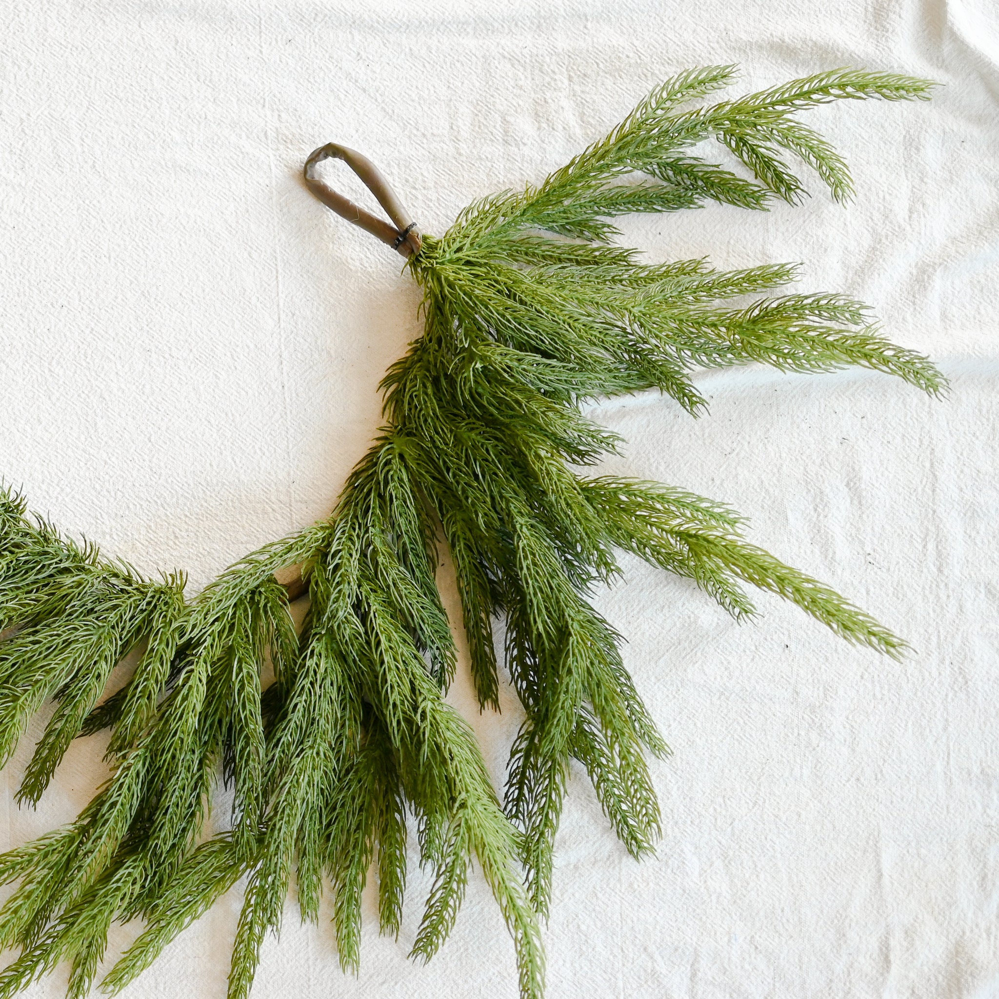 Garland- 6' Norfolk Pine