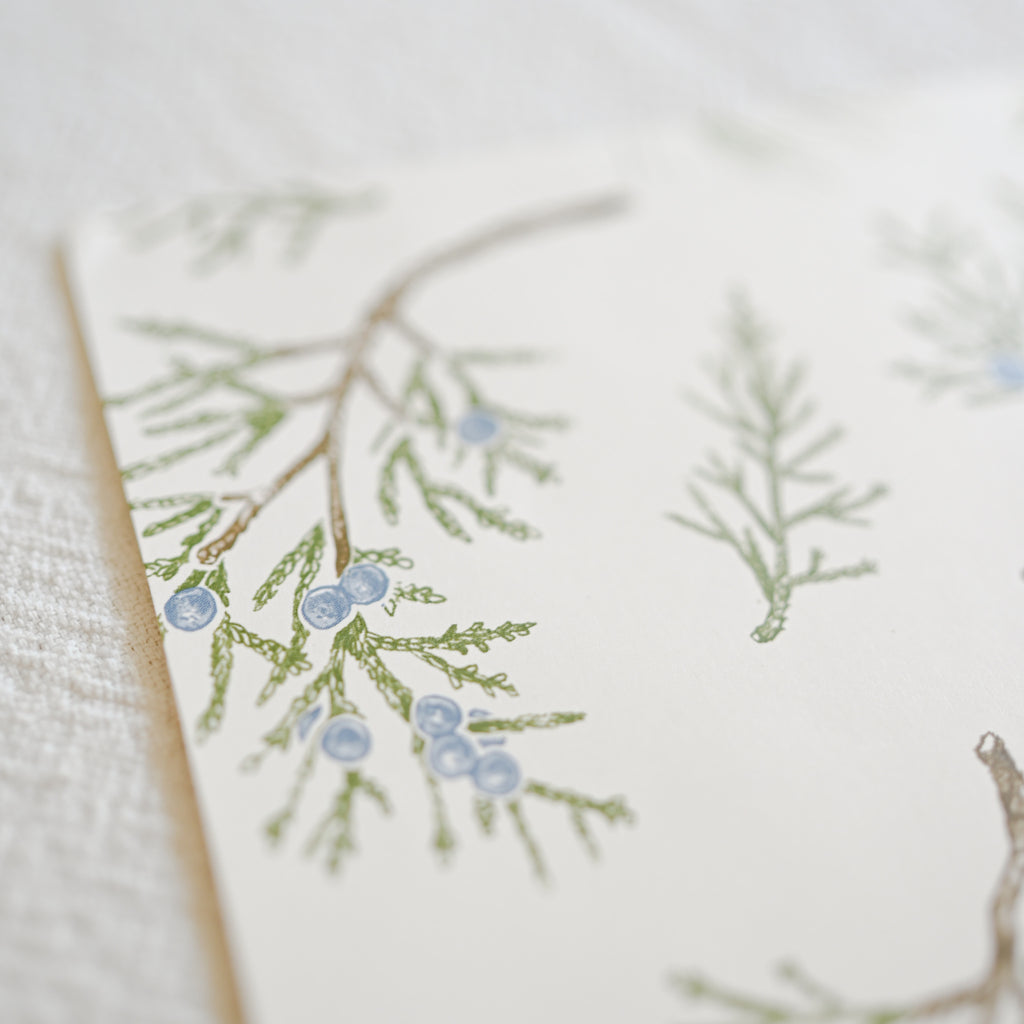 Paper Placemats- Juniper Sprigs (18pcs)