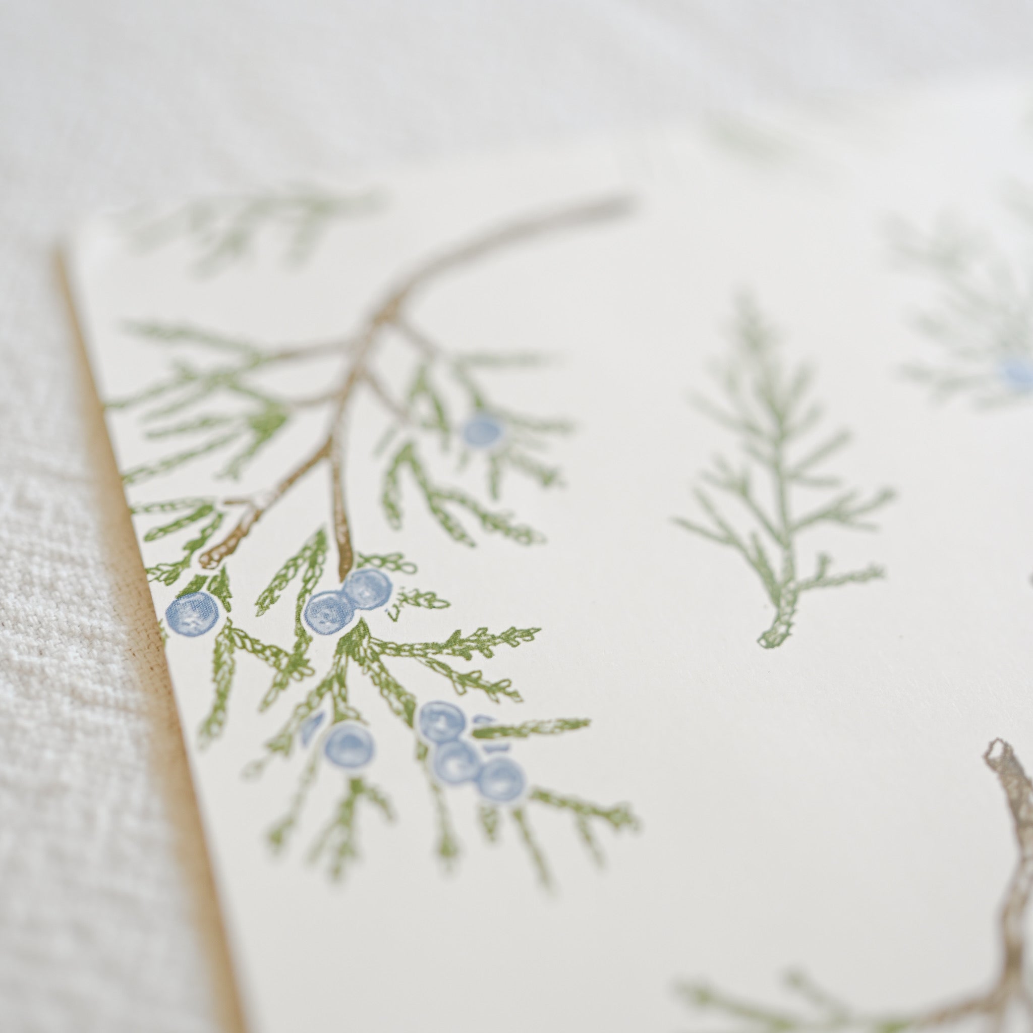 Paper Placemats- Juniper Sprigs (18pcs)
