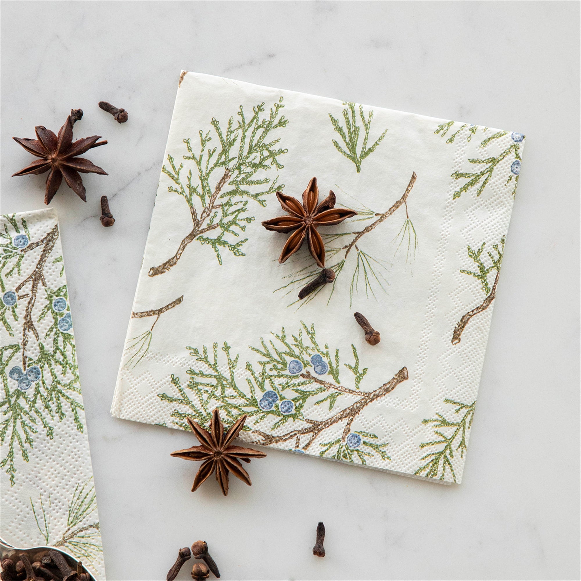 Premium Paper Napkins- Juniper Sprigs